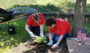 Two volunteers planting next to a grave.
